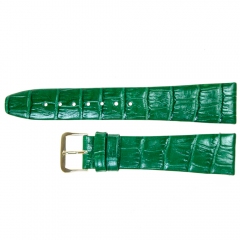 Correa Colores Alligator Alomado 20 mm.